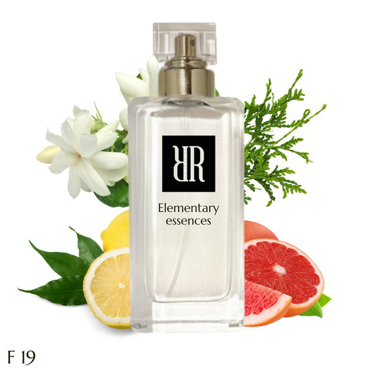 F19 inspirato a ( blue de chanel  )