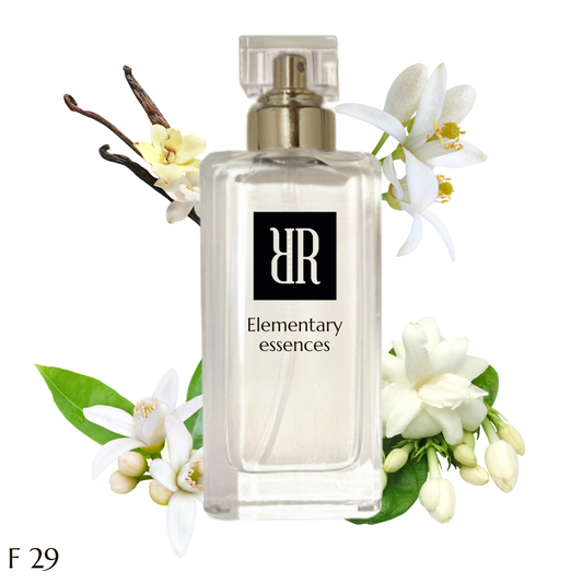 F29 inspirato a (prada paradoxe)