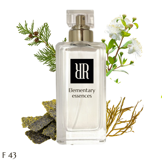 F43 inspirato a (acqua  di sale profumum roma )