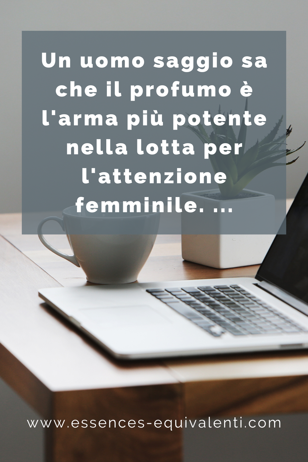 Scopri i profumi più popolari del mercato